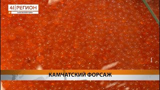 Новости Камчатки за 12 сентября 2024 года