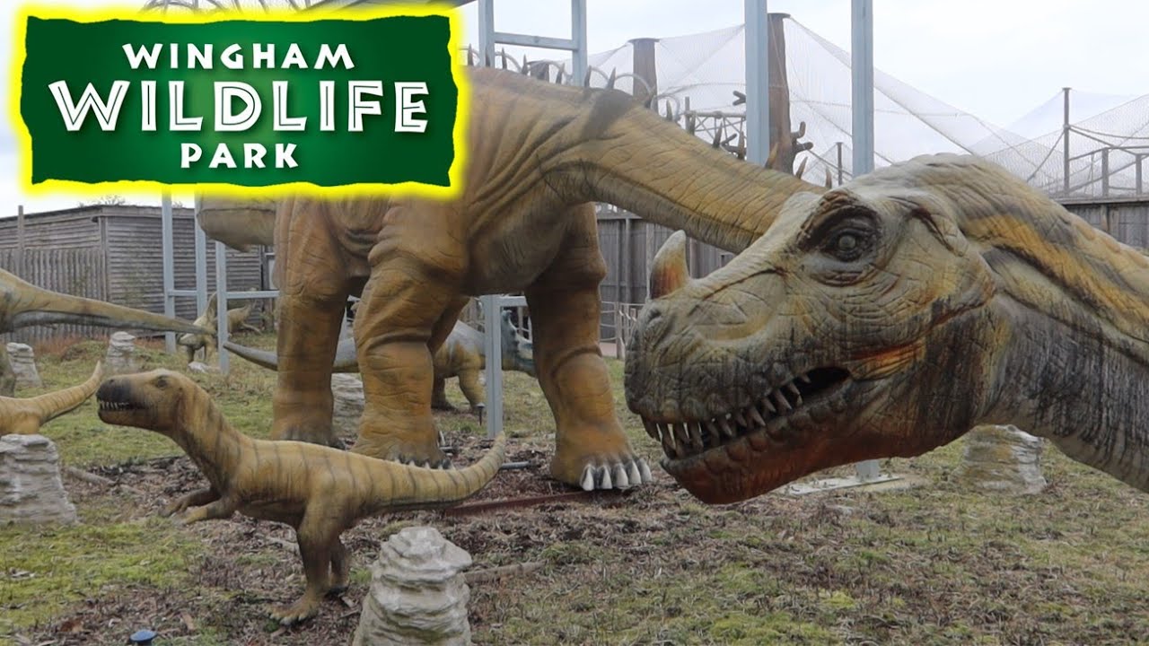 Dinosaurs And Full Tour Of Wingham Wildlife Park 2024 - YouTube