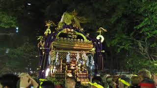 稲毛神社例祭(川崎山王祭) 神幸祭 平成30年8月5日 11