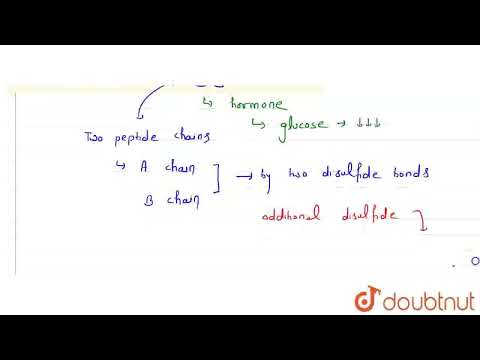 How many bonds are in insulin?