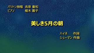 美しき5月の朝