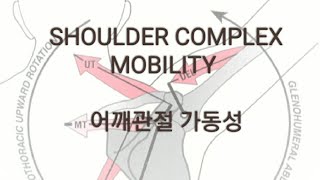 SHOULDER COMPLEX MOBILITY  어깨관절 복합체 가동성   어깨강화 어깨재활