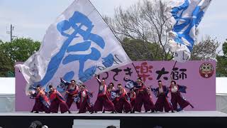 祭・WAIWAIよこはま・新作「祭華」＠2019　かわさき楽大師厄除よさこい