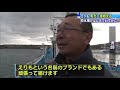 えりも　北海道の冬の味覚「毛ガニ」漁始まる　初水揚げはしけでわずかな量も「おいしいのは間違いない」【htb北海道ニュース】