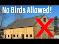 Building Barn Swallow Nest Boxes - A New Home After Eviction from INSIDE the Barn