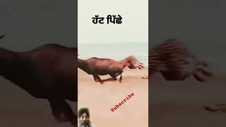 @#ਕਿੱਥੇ ਬਾਈ ਹੁਣ ਕਿੱਥੇ@#