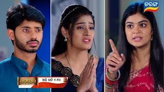 Rajayoga | 13th Jan 2025 | Episodic Promo - 338 Review | Tarang TV | Tarang Plus