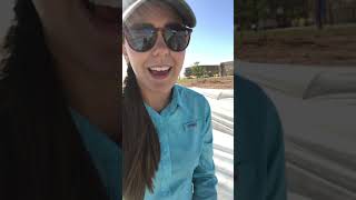 IDEA Edgemere Farm Update #1: Planting Zucchini