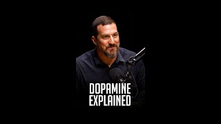 Andrew Huberman Explains Dopamine