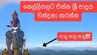 නෙල්ලිගලට එන්න ශ්‍රී පාදය වන්දනා කරන්න | සුමන සමන් දෙවියන්  වඩිනවා | සාදු සාදු සාදු | බුදු සරණයි❤️🥰🙏