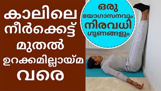 വളരെ simple ആയൊരു യോഗാസനവും നിരവധി ഗുണങ്ങളും | Vitality Queens |Malayalam Yoga