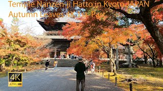 【4K】Temple Nanzen-ji Hatto in Kyoto JAPAN 🍂 🍁 Autumn Leaves 1st  Part