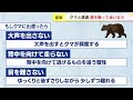 「硬すぎて自分がダメージを食らった感じ」空手経験者の観光客がクマに遭遇　蹴りで追い払う　北海道名寄市