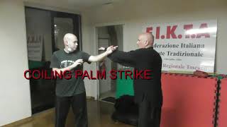 Bagua coiling palm strike