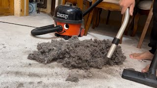 Fluff Haven - The latest modified Henry hoover