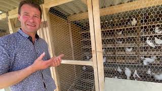 Découvrir l'élevage de pigeons avec Olivier Séchet, éleveur aux Cerqueux en Maine-et-Loire