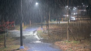 cozy sound of rain falling in the middle of the night, ASMR for insomnia and good sleep, rain sounds