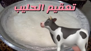 طريقة غلي الحليب البقري 🐮 الطازج 🐄من المزرعة بطريقة صحيحة تحفظ الحليب لتجهيز الالبان والاجبان