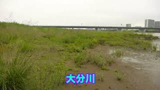 大分川宗麟大橋下