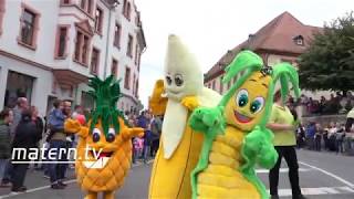 Impressionen vom Winzerfestumzug 2018 in Bensheim