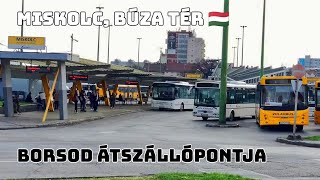 BUSZOK, KOFÁK, SÜLT KOLBÁSZ * 🚌⚖️📹 * Miskolc, Búza tér körbetekintő