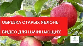 Обрезка старых яблонь видео для начинающих