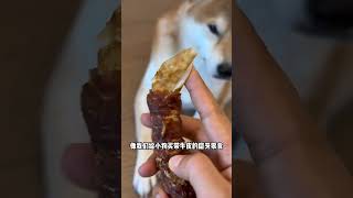 买到了小狗超喜欢的磨牙棒，带夹心的很难拒绝！ 萌宠好物 狗零食 磨牙棒 柴犬 磨牙零食