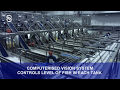 Eskja - Complete automatic pelagic processing plant (Full Video)