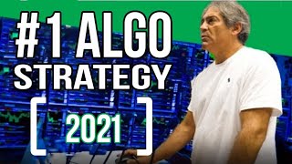 Algo Trading Live!  BEGINNERS EDITION!!   💹 💰 💲