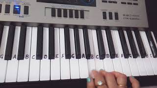 Laila main Laila |Raees|Harmonium|Piano|Keyboard|Beginners| Slowly played in end...