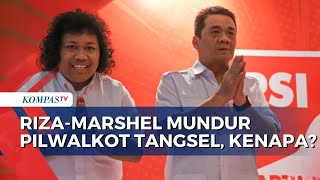 Ungkap Alasan Mundur dari Pilwalkot Tangsel, Riza Patria:  Ada Penugasan Baru dari Gerindra