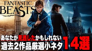 【ファンタスティックビースト】シリーズ過去2作品の細かすぎる厳選小ネタ14個をまとめて解説【ハリーポッター】