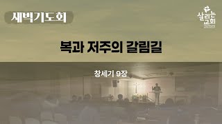 25/2/13(목) | 살리는교회 새벽예배 | 창 9장