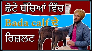 ਛੋਟੇ ਬੱਚਿਆ ਵਿੱਚ Bada Calf ਦੇ ਰਿਜ਼ਲਟ ਸੰਬੰਧੀ ਗੱਲਬਾਤ ॥