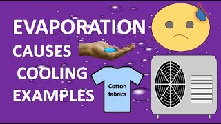 How does evaporation causes cooling examples | STATE OF MATTER 2 :LIQUID CHEMISTRY | YOUTUBE