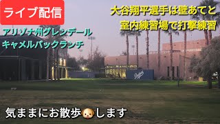 【ライブ配信】大谷翔平選手は壁あてと室内練習場で打撃練習をする⚾️気ままにお散歩🐶します💫Shinsuke Handyman がライブ配信中！