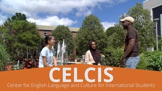 Student Experience | Center for English Language and Culture for International Students at WMU