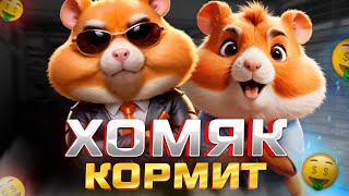 ПОДНИМАЕМ  НА ХОМЯКЕ ! КАЧАЕМСЯ и ЛЕТИМ В ТОП Hamster Kombat / Стрим в #shorts от ОТЕЦ ЕВГЕН