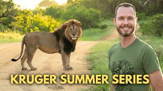 Kruger in Summer is INSANE! (10 Days in the Far South)
