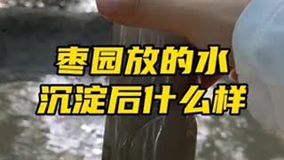 自从我家枣园放水两次以来，遇到很多人说我们这边放水用的水很脏，今天给大家解释一下，为什么放水的这个水是浑的新疆 自家枣园 新疆灰枣 老张在新疆种灰枣 优质农产品