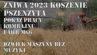 Pokaz Pracy Kombajnu Fahr M66 | Dźwięk Fahra M66 BEZ MUZYKI! | Żniwa 2023 koszenie pszenżyta