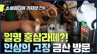 홍삼라떼를 파는 곳이 있다?! ☕