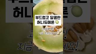 부드럽고 달콤한 허니듀메론🍈 1통부터 주문가능! #과일맛집 #여름과일 #shorts