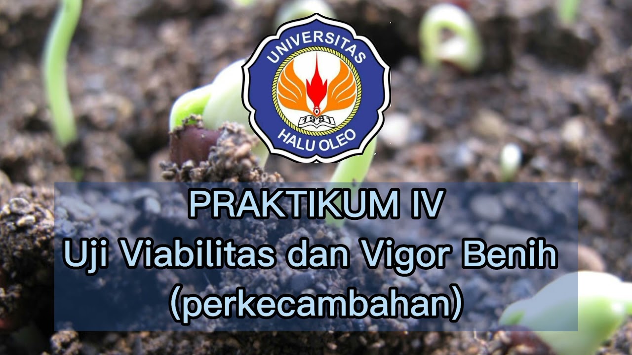 Uji Viabilitas Dan Vigor Benih Kecambah Benih Kedelai (Glycine Max ...