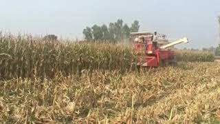 Dasmesh Maize Combine Harvester