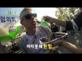 【tvpp】kangnam eat like korean 강남 허파부터 막걸리까지 강남의 한국식 먹방 @ hello stranger