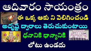 ఆదివారం సాయంత్రం ఈ ఒక్క ఆకుని వెలిగించండి అదృష్ట ద్వారాలు తెరుచుకుంటాయి ధనానికి ధాన్యానికి లోటుఉండదు