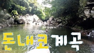 [Living in Jeju Island for a month] Ep.04 Chartering Donnaeko Valley in Jeju Island #Donnaeko Valley