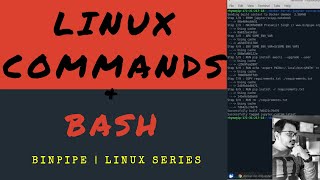 Learn Basic Linux Commands & Bash Shell | 3 hour Session