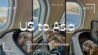 How To Fly with Rabbit from the US to Asia